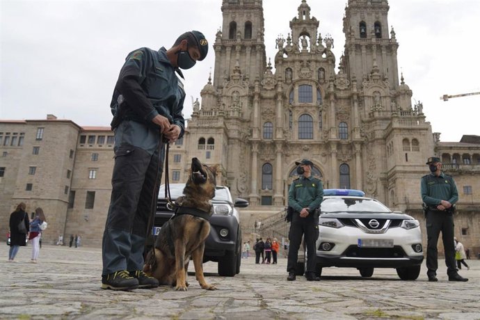 Archivo - Varios agentes de Guardia Civil y un perro del cuerpo frente a la Catedral de Santiago, durante la presentación del dispositivo de seguridad establecido para el Año Santo Xacobeo en la plaza del Obradoiro, a 27 de mayo de 2021, en Santiago de 