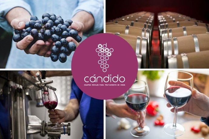 MULTINIVEL IBÉRICA. VINOS CÁNDIDO