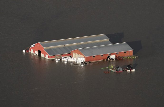 16 November 2021, Canada, Chilliwack: A barn is seen surrounded by flood waters. Photo: Jonathan Hayward/The Canadian Press via ZUMA/dpa