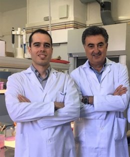 Grupo de investigación de ibs.Granada