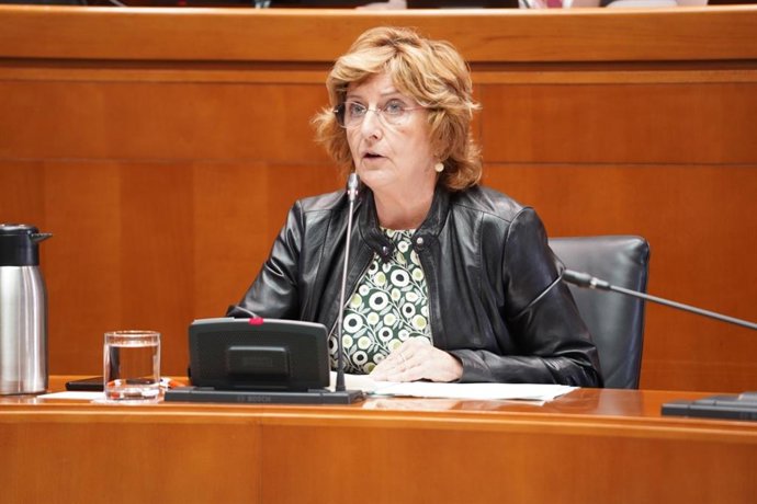 La consejera de Ciudadanía y Derechos Sociales del Gobierno de Aragón, María Victoria Broto, en las Cortes.