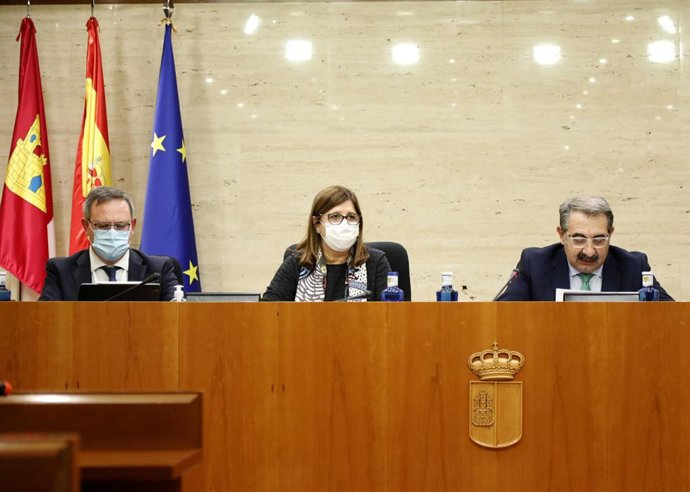 La directora gerente del Sescam, Regina Leal, en comisión en las Cortes