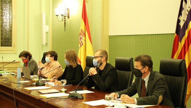 La consellera de Asuntos Sociales y Deportes, Fina Santiago, durante una comparecencia en el Parlament.