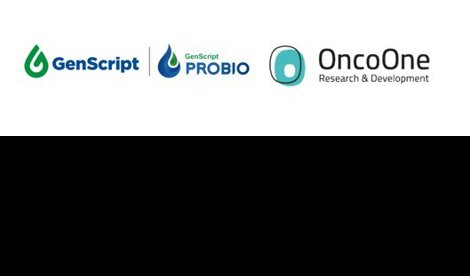 Comunicados Internacional