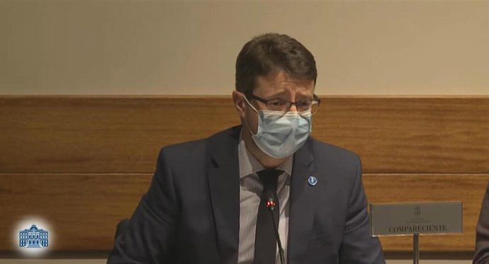 El consejero de Industria, Empleo y Promoción Económica, Enrique Fernández, en el parlamento.