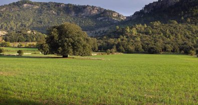 Baleares Destino Sostenible