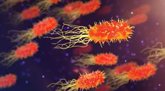 Foto: SEIMC clama ante la amenaza que suponen las resistencias bacterianas para la salud pública mundial