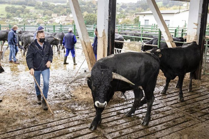 El consejero de Desarrollo Rural, Ganadería, Pesca, Alimentación y Medio Ambiente, Guillermo Blanco