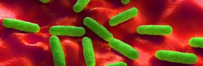 Archivo - Bacterias resistentes a antibióticos