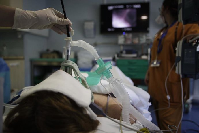 El estudio lo han liderado investigadores del Servicio de Neumología del Hospital Vall d'Hebron y del grupo de Neumología del Vall d'Hebron Institut de Recerca (Vhir)