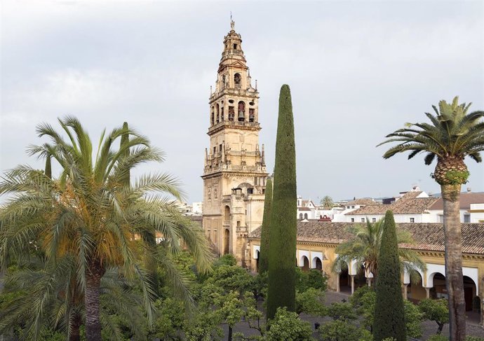 Archivo - La torre-campanario de la Mezquita-Catedral de Córdoba se reabre a las visitas turísticas.