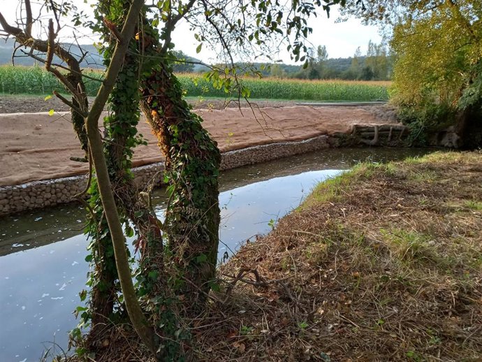 URA restaura un tramo de ribera erosionada en la margen izquierda del río Barrundia a su paso por Aspuru (Álava)