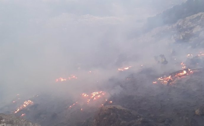 Incendio forestal declarado en el paraje Cruz de Víznar