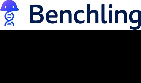 Comunicados Internacional