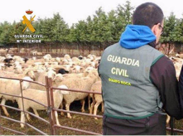 Agente del equipo ROCA en la investigación de robos en explotaciones agricolas y ganaderas de Cáceres
