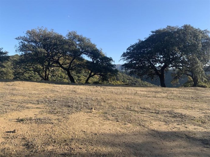 La Diputación impulsa en la zona norte del Valle del Genal la construcción de una balsa contra incendios y una plataforma de helipuerto