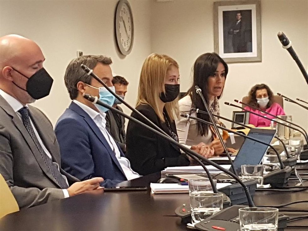 Comisión de Vicealcaldía del Ayuntamiento de Madrid