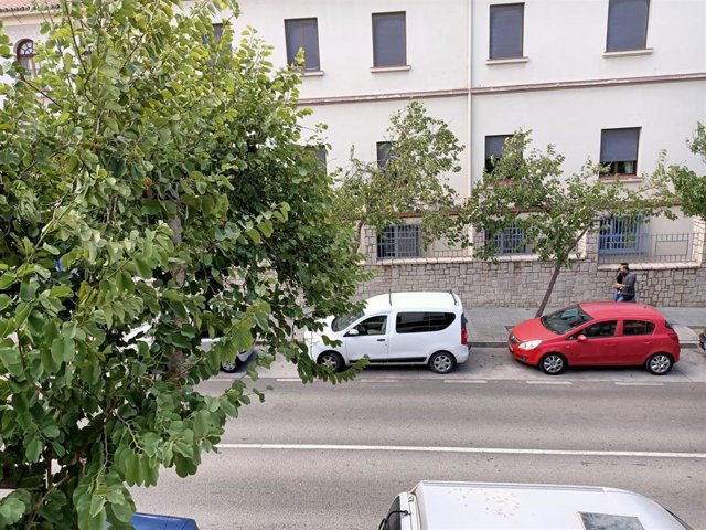 Arboles, calle de Málaga capital