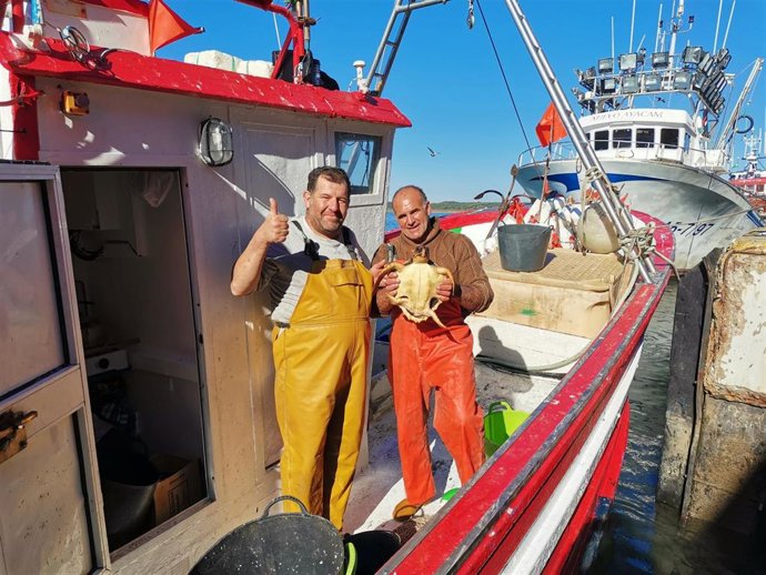 Rescate de una tortuga Caretta de la Asociación 'Hombre y Territorio'