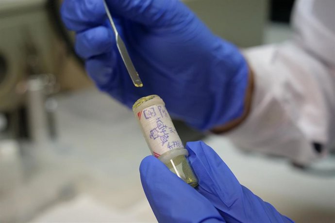 Archivo - Investigación UMA