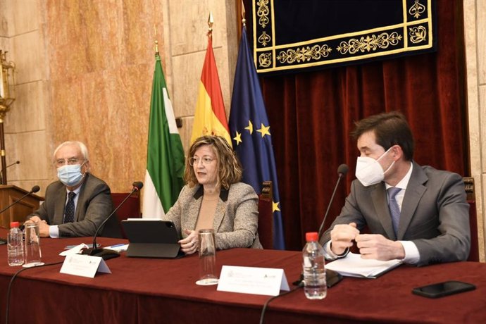 La presidenta de Adif, María Luisa Domínguez, en rueda de prensa en Almería