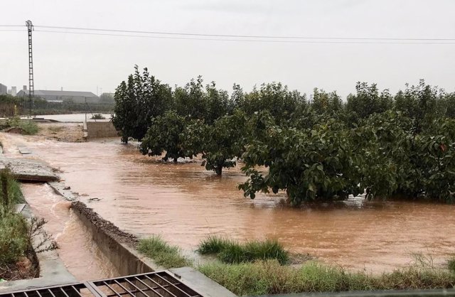 Campos anegados por las lluvias en Benifaió (Valencia)