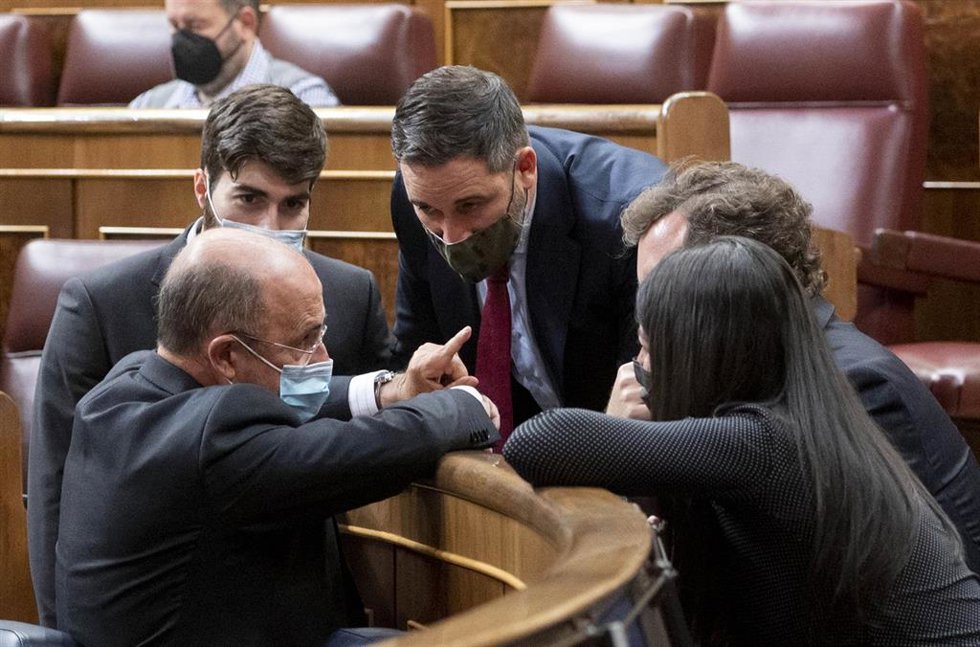 Diputados de Vox en el hemiciclo del Congreso.