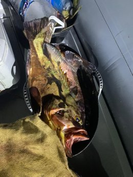 Pesca furtiva en El Hierro