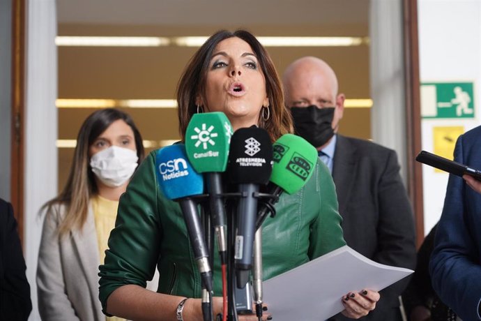 La portavoz del Grupo Socialista en el Parlamento andaluz, Ángeles Férriz, atiende a los medios en una foto de archivo.