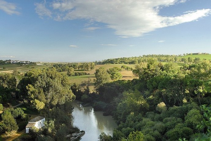 Archivo - Imagen del río Guadaíra desde los Pinares de Oromana en Alcalá de Guadaíra (Sevilla).