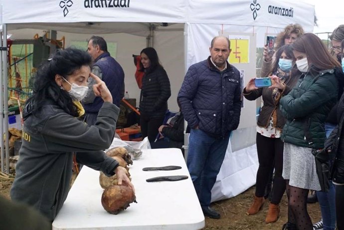 La consejera de Cultura, Turismo y Deportes, Nuria Flores Redondo, visita las actuaciones de investigación y exhumación que se están llevando a cabo en la fosa común de víctimas de la represión franquista cerca de Feria (Badajoz)