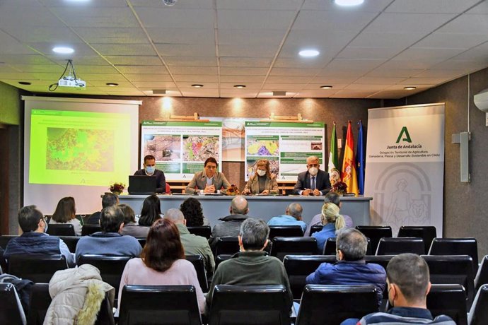 Presentación del estudio de la Junta de Andalucía en Chipiona.