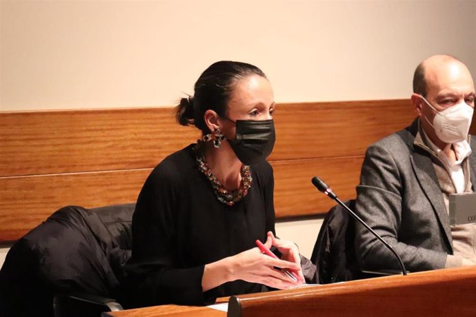 La consejera de Derechos Sociales y Bienestar, Melania Álvarez, en comisión.