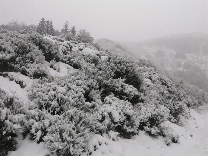Nieve en los montes de Ezcaray en La Rioja