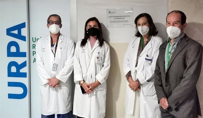 El jefe de sección de Dolor Crónico del Hospital Universitario de Valme, Ángel Martínez; la directora gerente M Jesús Pareja; la jefa del servicio de  Anestesiología y viuda, Mercedes Echevarría, y el presidente de AAD, Luis Miguel Torres.