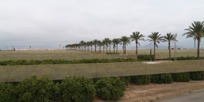 Archivo - Imagen de la finca La Loma de Roca. Malaya.