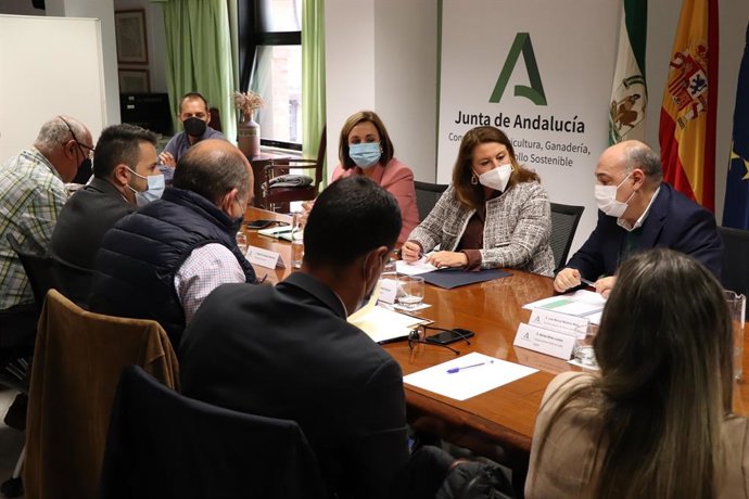 La consejera de Agricultura, Ganadería, Pesca y Desarrollo Sostenible de la Junta de Andalucía, Carmen Crespo, este martes reunida con Facope y Faape.