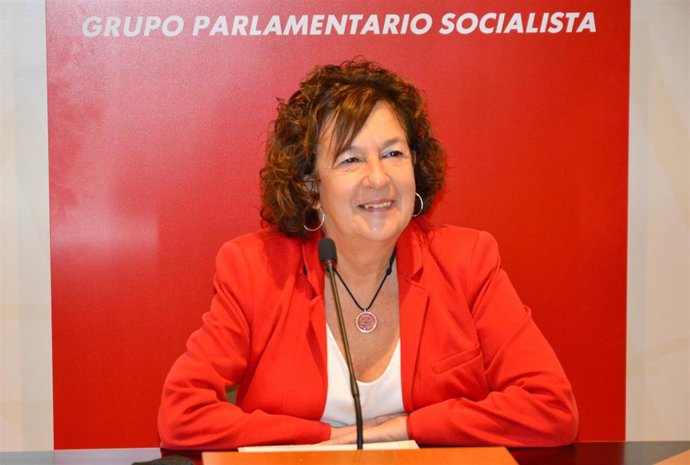 La diputa del PSOE, Ana Santos