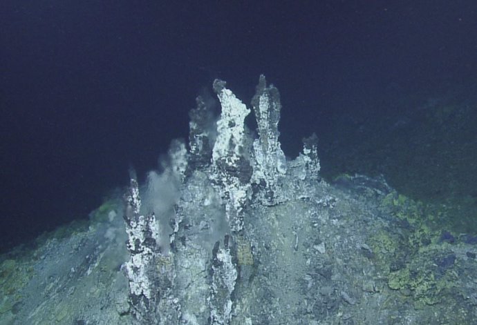 Una estructura de chimenea del campo de ventilación hidrotermal de Sea Cliff ubicada a más de 8,800 pies (2,700 metros) debajo de la superficie del mar en el límite submarino de las placas tectónicas del Pacífico y Gorda.