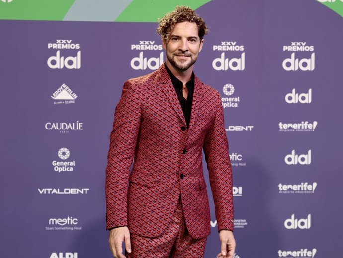 David Bisbal en los Premios Dial