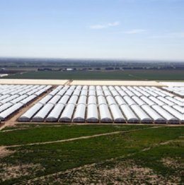 Archivo - Gonvarri Industries entra en el sector agroalimentario con la adquisición de la israelí Agromega