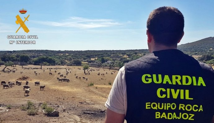 La Guardia Civil investiga el robo de ganado en dos fincas de Badajoz