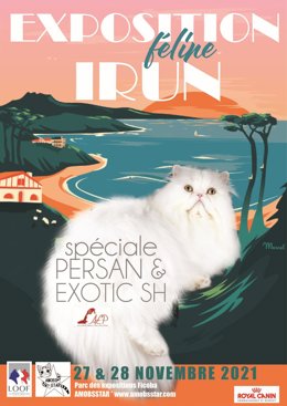 Cartel de la exposición felina de Irun.