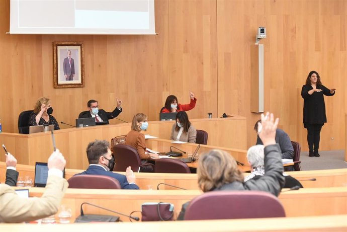 Pleno de la Diputación de Granada