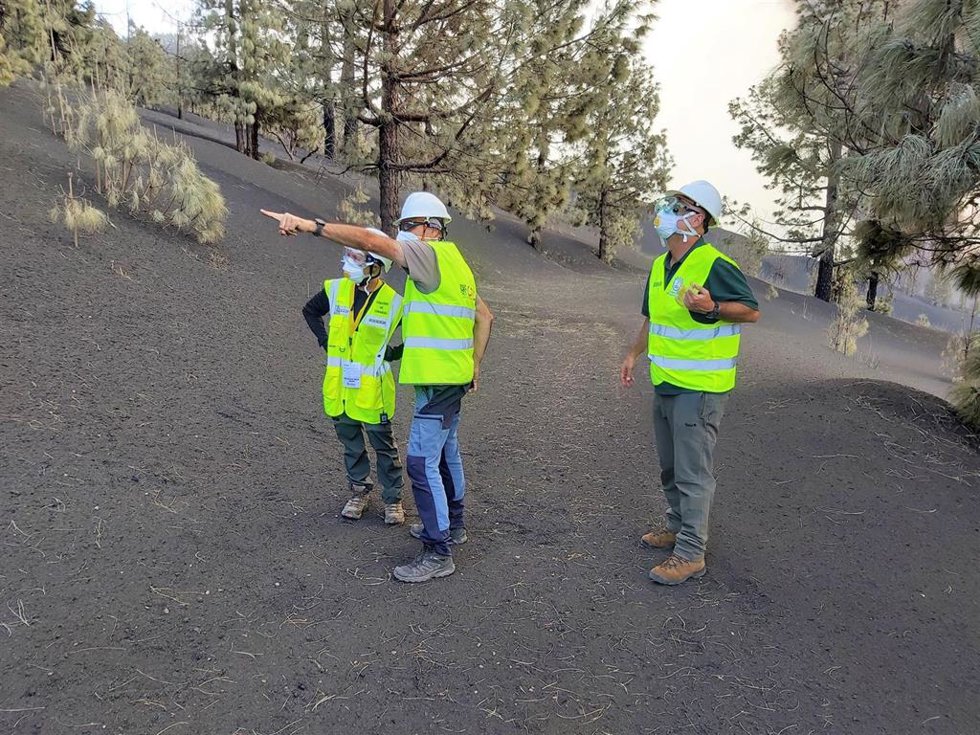 Técnicos del IPNA-CSIC y el Cabildo de La Palma durante el estudio sobre especies amenazadas por la erupción en La Palma