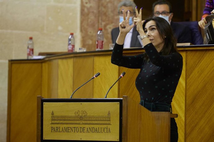 La portavoz del grupo parlamentario Ciudadanos, Teresa Pardo, este miércoles durante el debate de las enmiendas a la totalidad del Presupuesto de 2022. 