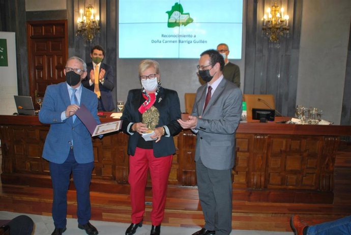 Homenaje de la Asociación Sevillana de Cronistas e Investigadores Locales (Ascil) a Carmen Barriga, ex directora del Servicio de Archivo y Publicaciones de la Diputación de Sevilla.