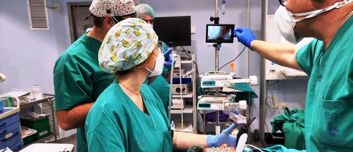 El servicio de Anestesia y Reanimación del Complejo Hospitalario Universitario de Cartagena prueba la máscara laríngea 'Vision Mask'