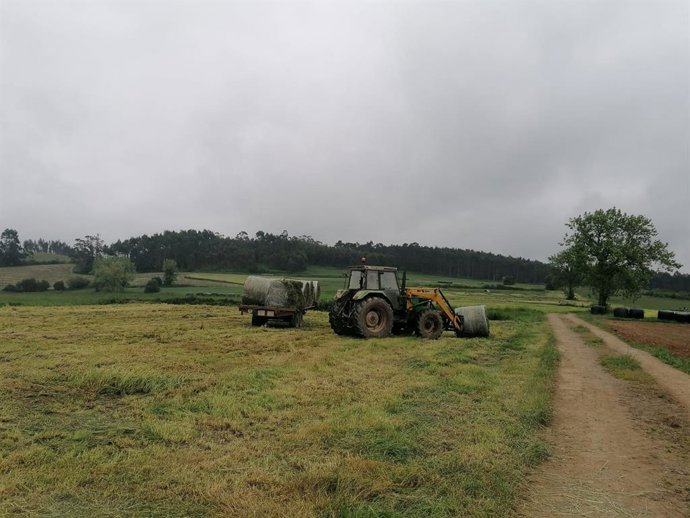 Archivo - Trabajos en el campo, rural, agricultura, PAC, tractor.