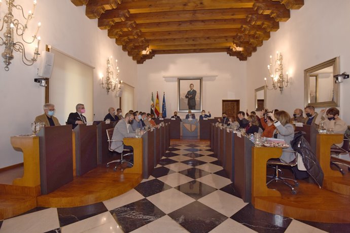 Pleno de la Diputación de Cáceres del mes de noviembre
